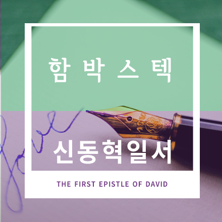 함박스텍
