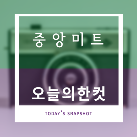 중앙미트