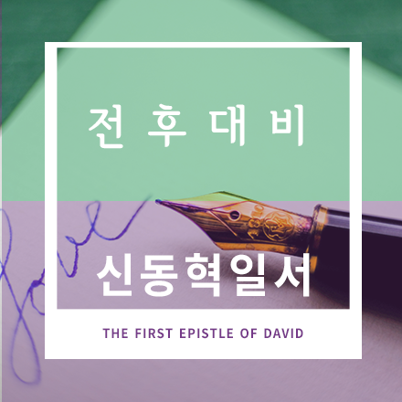 전후대비