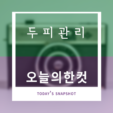 두피관리