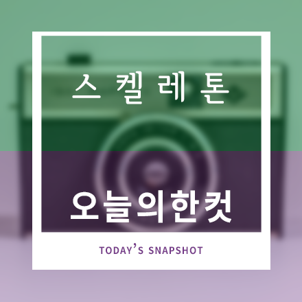 스켈레톤