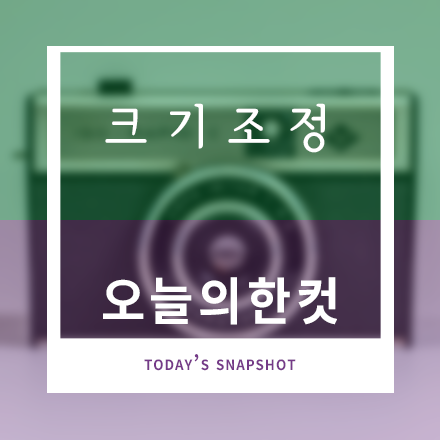 크기조정