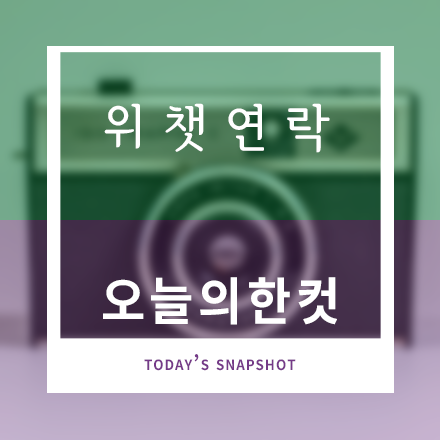 위챗연락