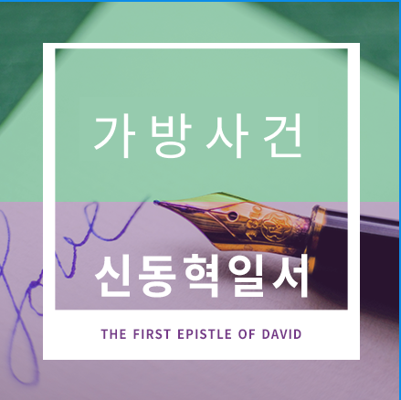 가방사건